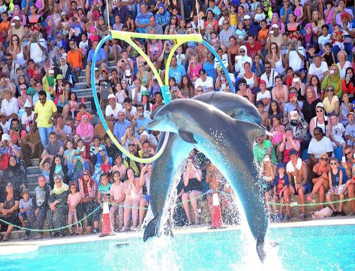 Dolphin Park Sharm El Sheikh